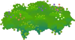 知恵の草花の地面の画像