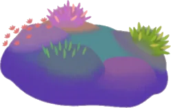 水草の丘の画像