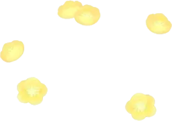 クリスマスローズデコレーションの画像