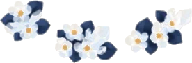 小さく透明な花の茂みの画像