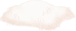 毛足の長いふわふわの白い布の画像