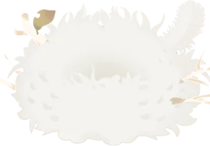 羽毛の巣の画像