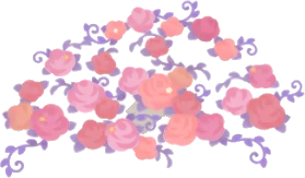 星薔薇の群生の画像