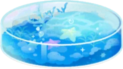 ミニアクアリウムの画像