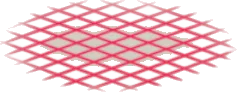 ネオンフロア・レッドの画像