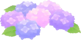 満開の紫陽花の丘の画像