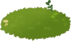 苔むした敷物の画像
