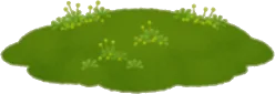 苔の森の小島の画像