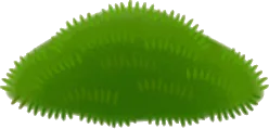 苔の山の画像