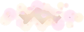 反射する桜の光と花びらの画像