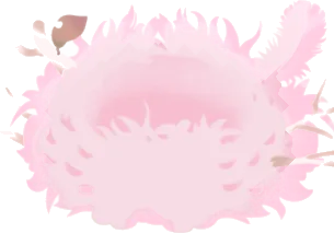 ピンクの羽毛の巣の画像