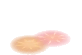 足元を照らす花火柄の画像