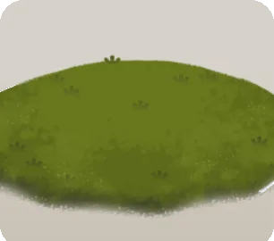 庭園の苔の画像