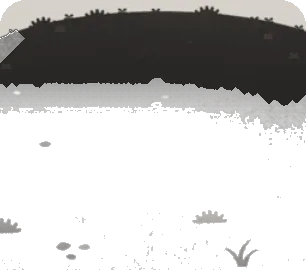 枯草の原っぱの画像
