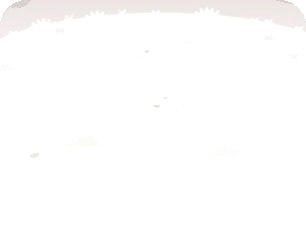 若葉の原っぱの画像