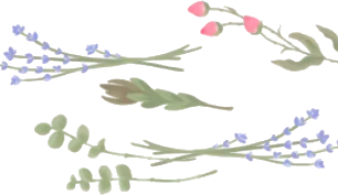 剪定されたドライフラワーの画像