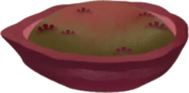 カカオ豆でつくられた鉢の画像