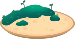 盆栽の苔と砂が入ったお皿の画像