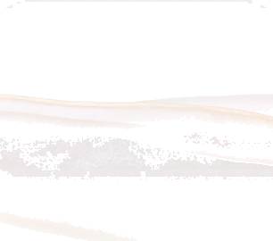 柔らかな光の砂の画像