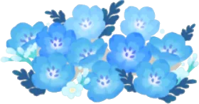 空色のネモフィラ畑の画像
