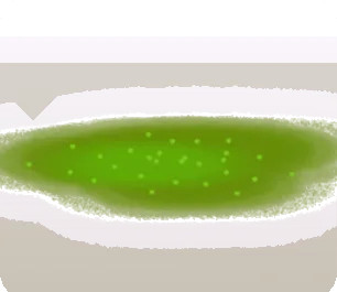 発光した苔の画像