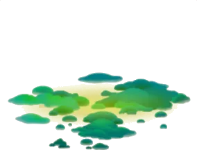 霧の森の緑の絨毯の画像