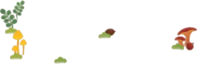 きのこの群生の画像