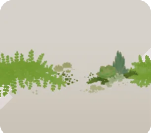 小さな多肉植物の画像