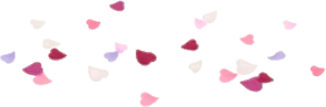 舞い落ちた薔薇の花びらの画像