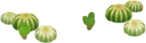 まばらに生えるサボテンの画像