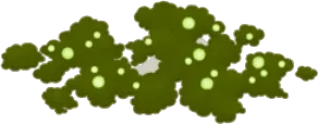 鉢植えに生えた苔の画像