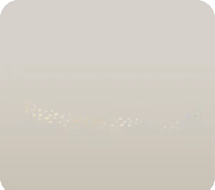 ゴールドダストのラグの画像