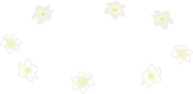 落ちたユリの花の画像