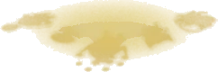 映し出された光の幻影の画像