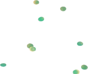 ウロコの木から落ちた葉の画像