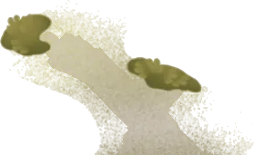 導くように生えた苔の画像