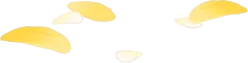 採集中に舞った花びらの画像