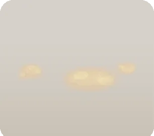 森の木漏れ日の画像