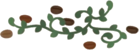 コーヒー豆と緑のつる植物の画像