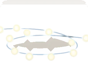 星明かりイルミネーションコードの画像