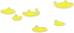 光虫の群れの画像