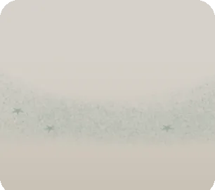 サンゴの砂の画像