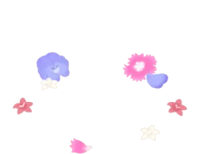 散らばったエディブルフラワーの画像
