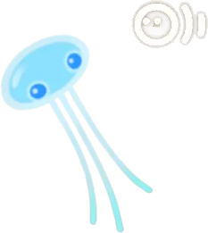 プカポンの画像