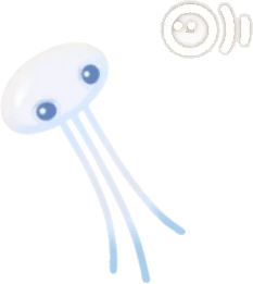 プカポン・白の画像