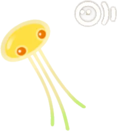 プカポン・黄の画像