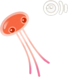 プカポン・赤の画像