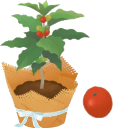 カフェのコーヒーの木の画像