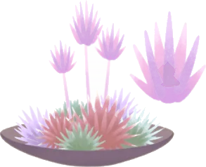 盆上の無限花の木の画像