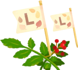秋の山椒の木の画像